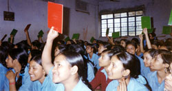 particapants use voting cards at a school workshop