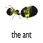 the ANT Logo